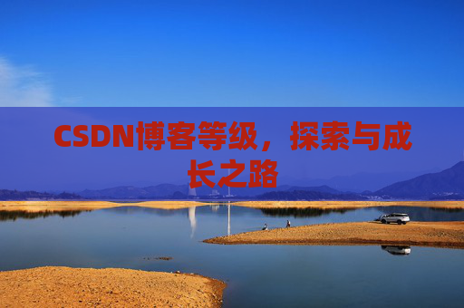 CSDN博客等级，探索与成长之路